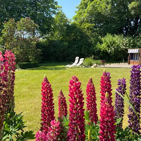 Charmantes Haus Mit Zwei Und Grossem Garten In - Enjoy! * Aventoft